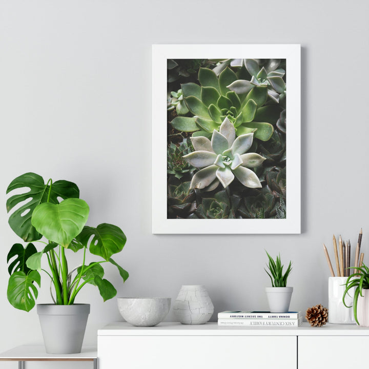 Succulent Array - Framed Print - Visiting This World