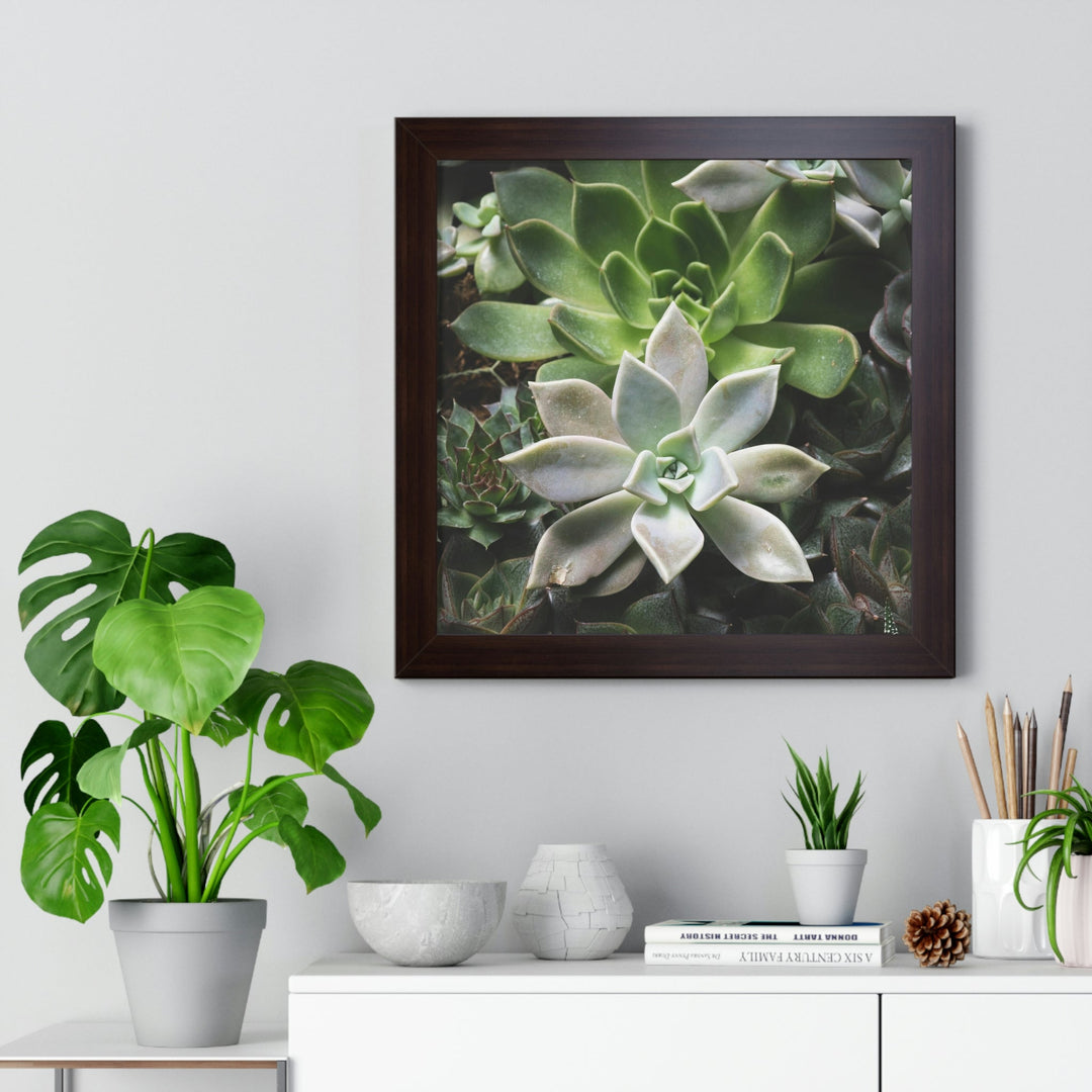 Succulent Array - Framed Print - Visiting This World