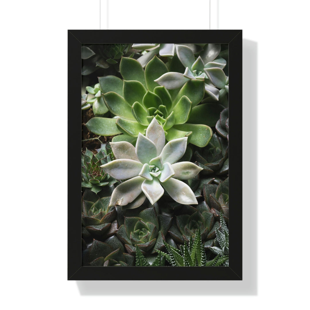 Succulent Array - Framed Print - Visiting This World