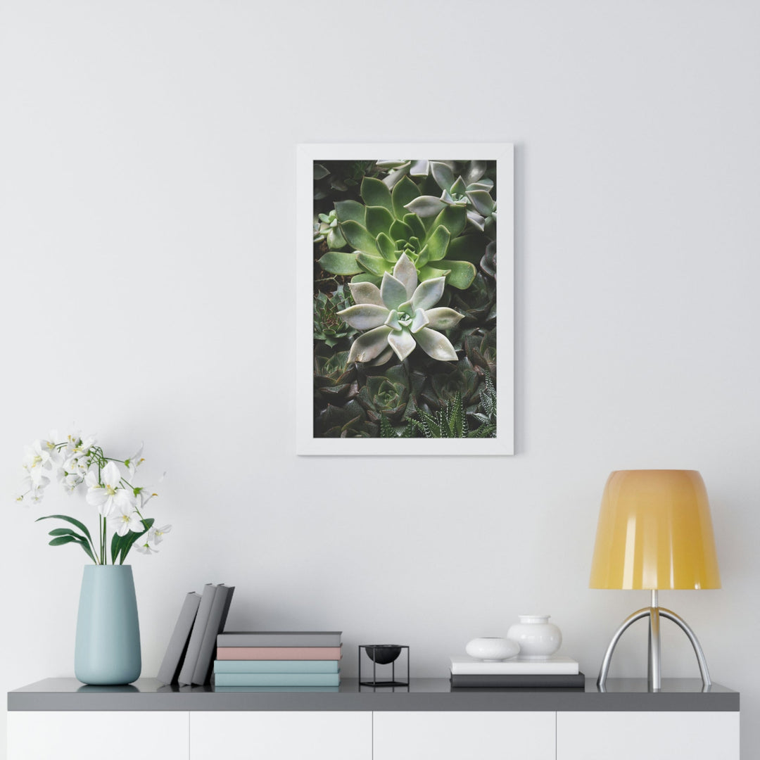 Succulent Array - Framed Print - Visiting This World