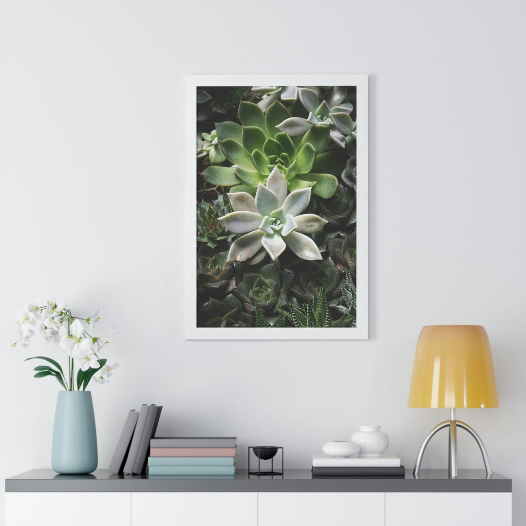 Succulent Array - Framed Print - Visiting This World