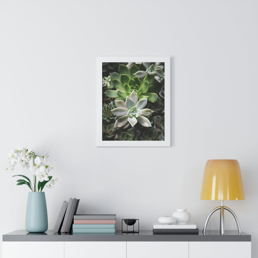 Succulent Array - Framed Print - Visiting This World