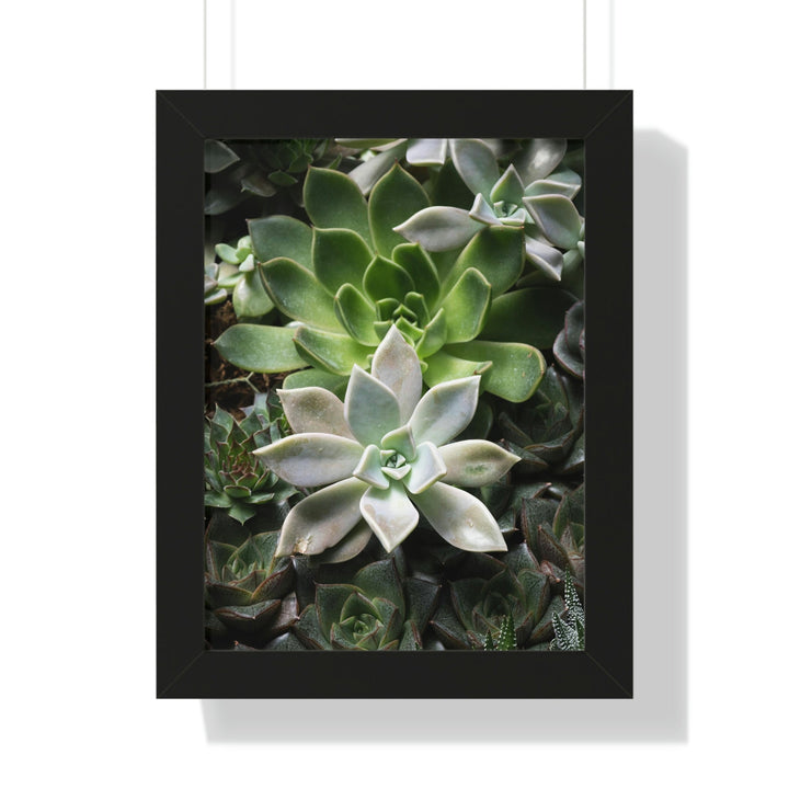 Succulent Array - Framed Print - Visiting This World