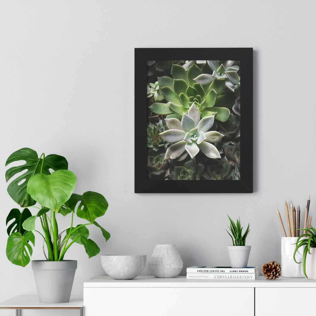 Succulent Array - Framed Print - Visiting This World