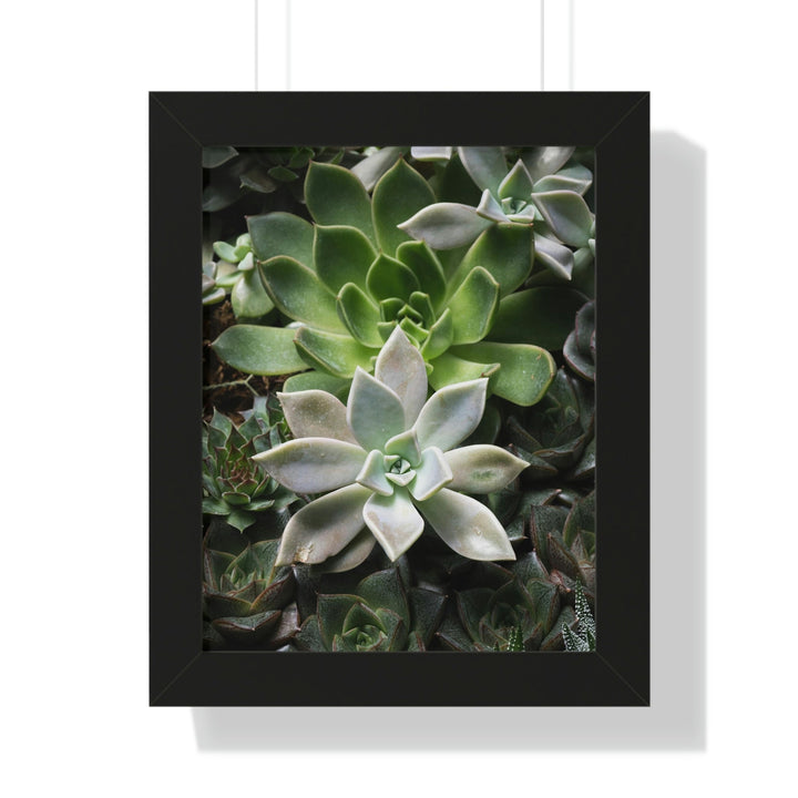 Succulent Array - Framed Print - Visiting This World