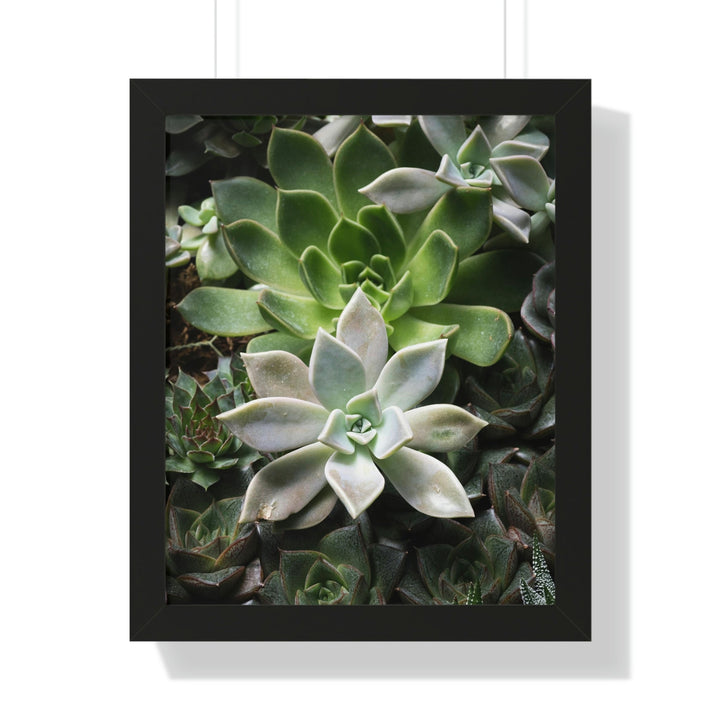 Succulent Array - Framed Print - Visiting This World