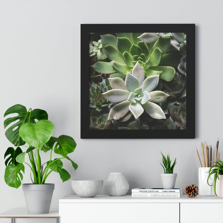 Succulent Array - Framed Print - Visiting This World