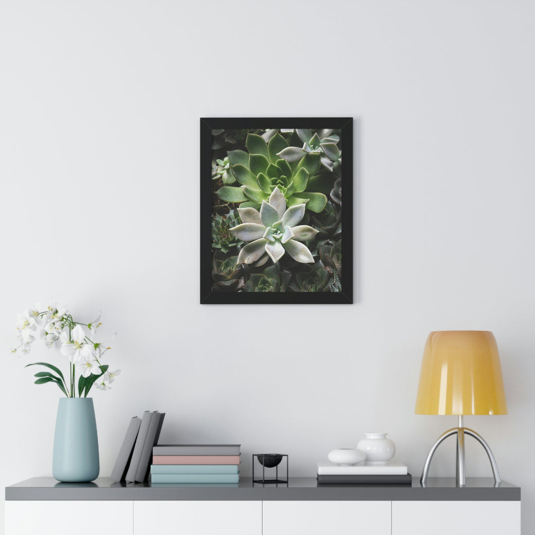 Succulent Array - Framed Print - Visiting This World