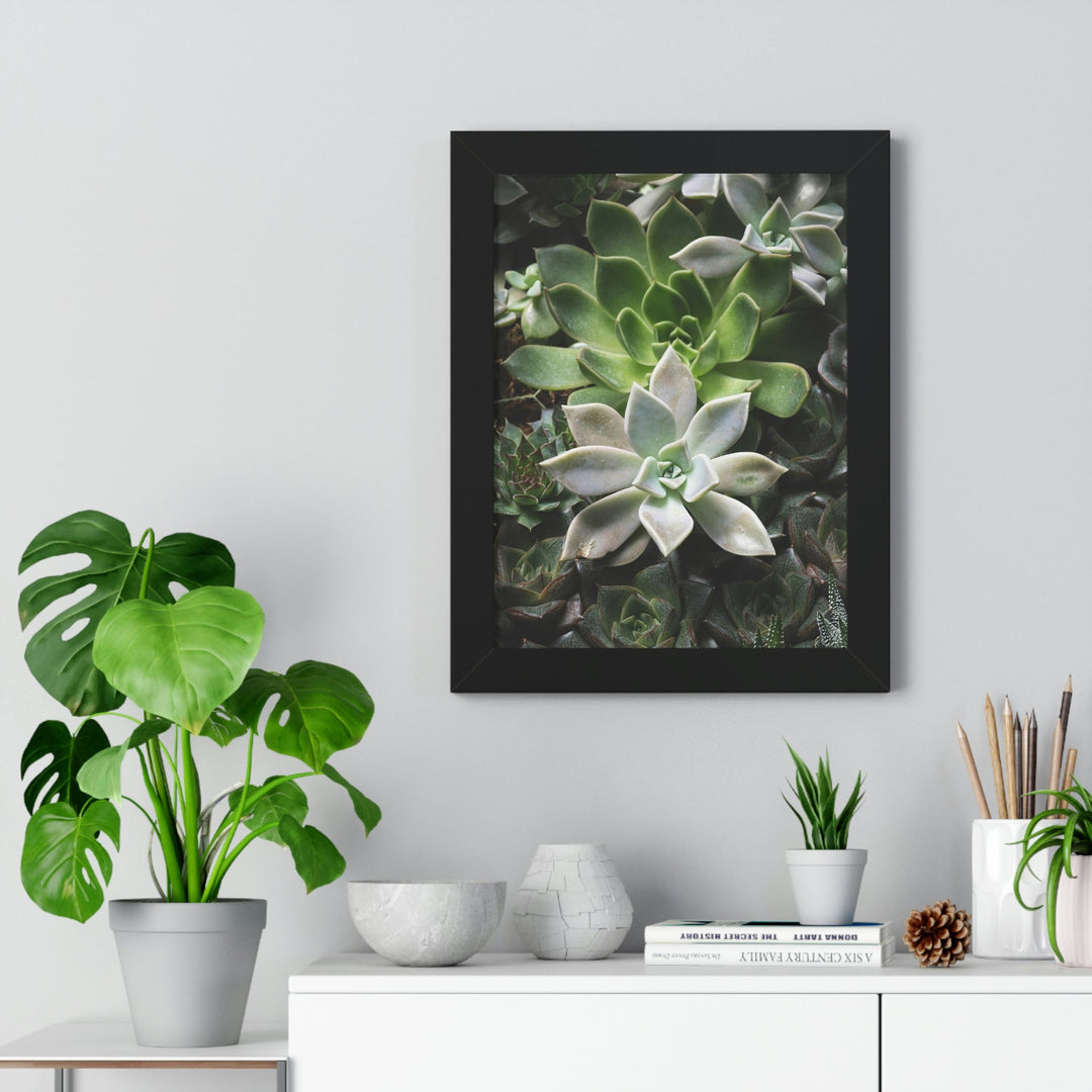 Succulent Array - Framed Print - Visiting This World