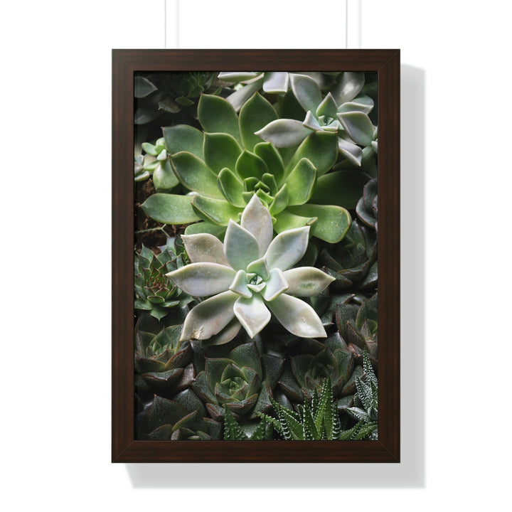 Succulent Array - Framed Print - Visiting This World