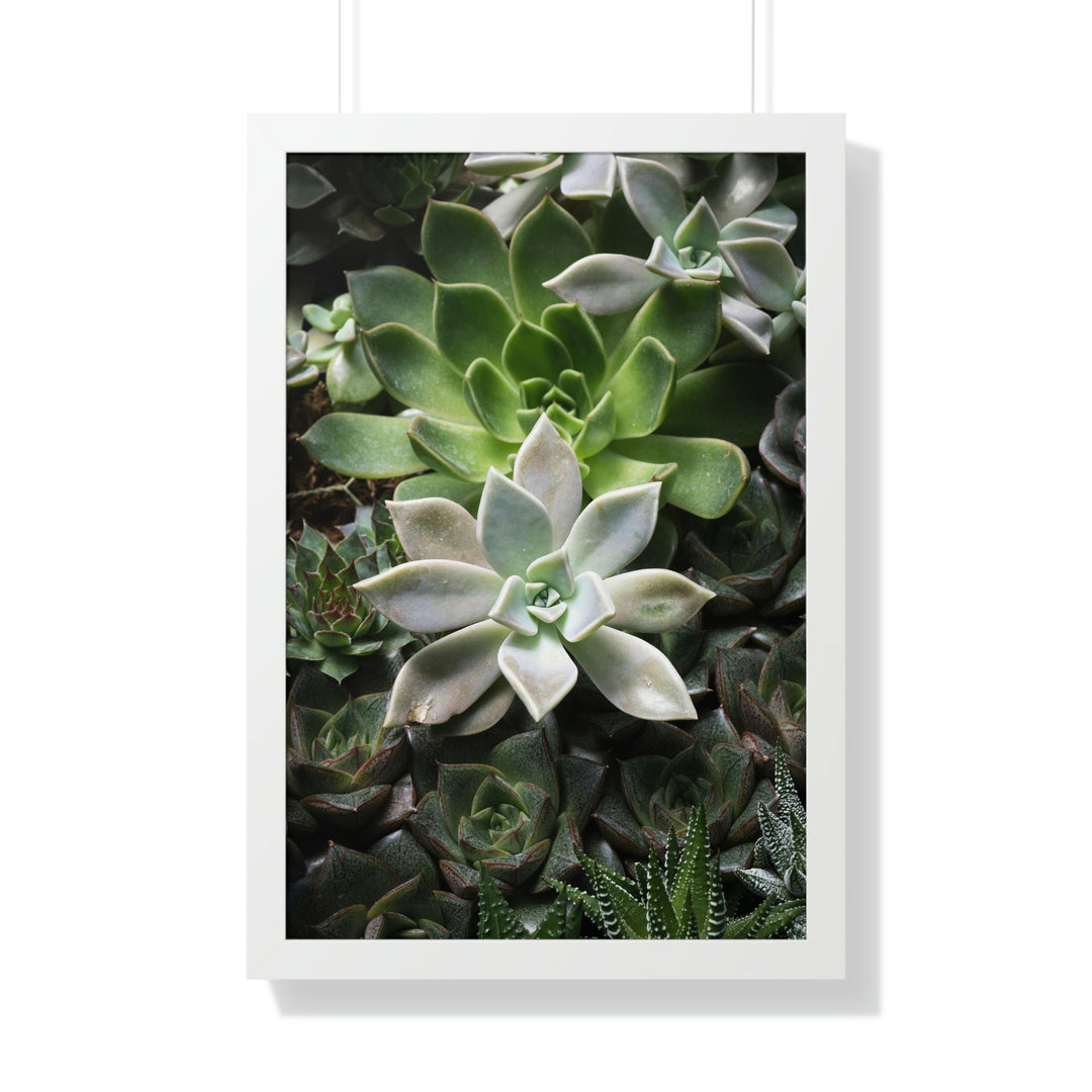 Succulent Array - Framed Print - Visiting This World