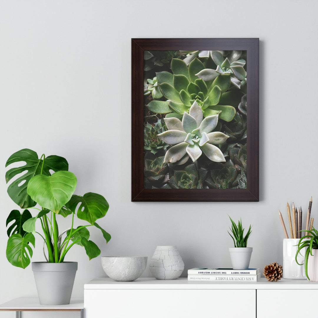 Succulent Array - Framed Print - Visiting This World