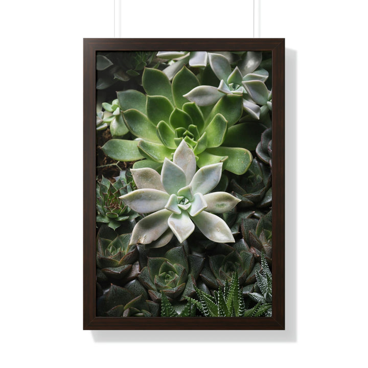 Succulent Array - Framed Print - Visiting This World