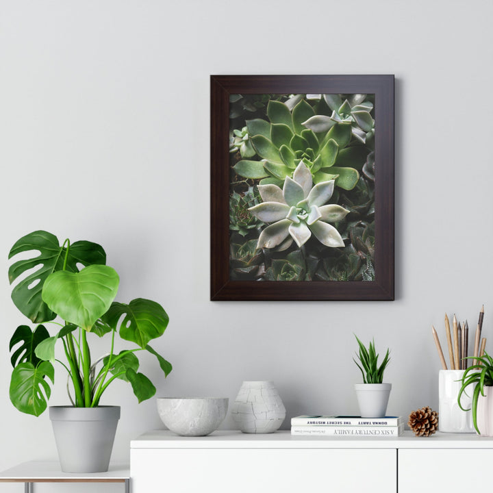 Succulent Array - Framed Print - Visiting This World