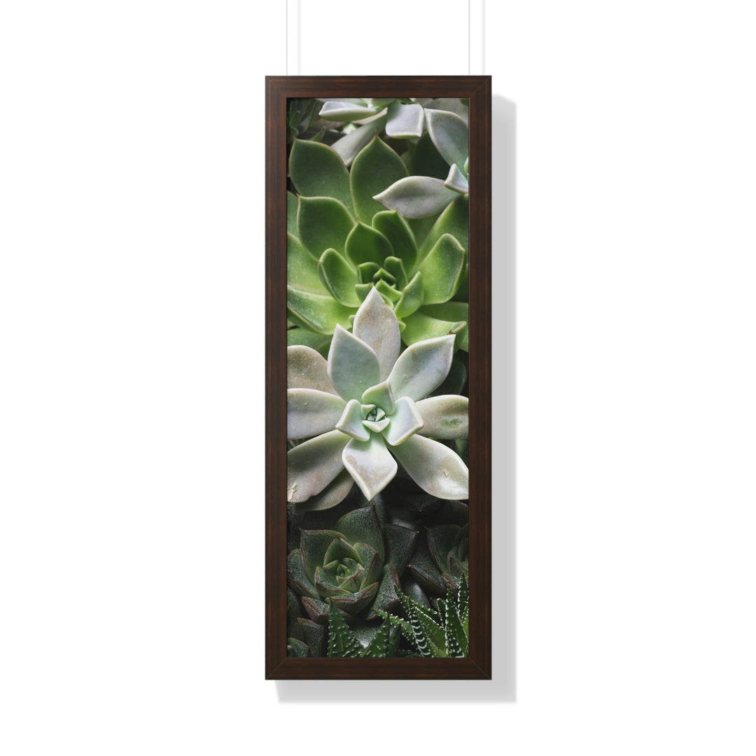 Succulent Array - Framed Print - Visiting This World