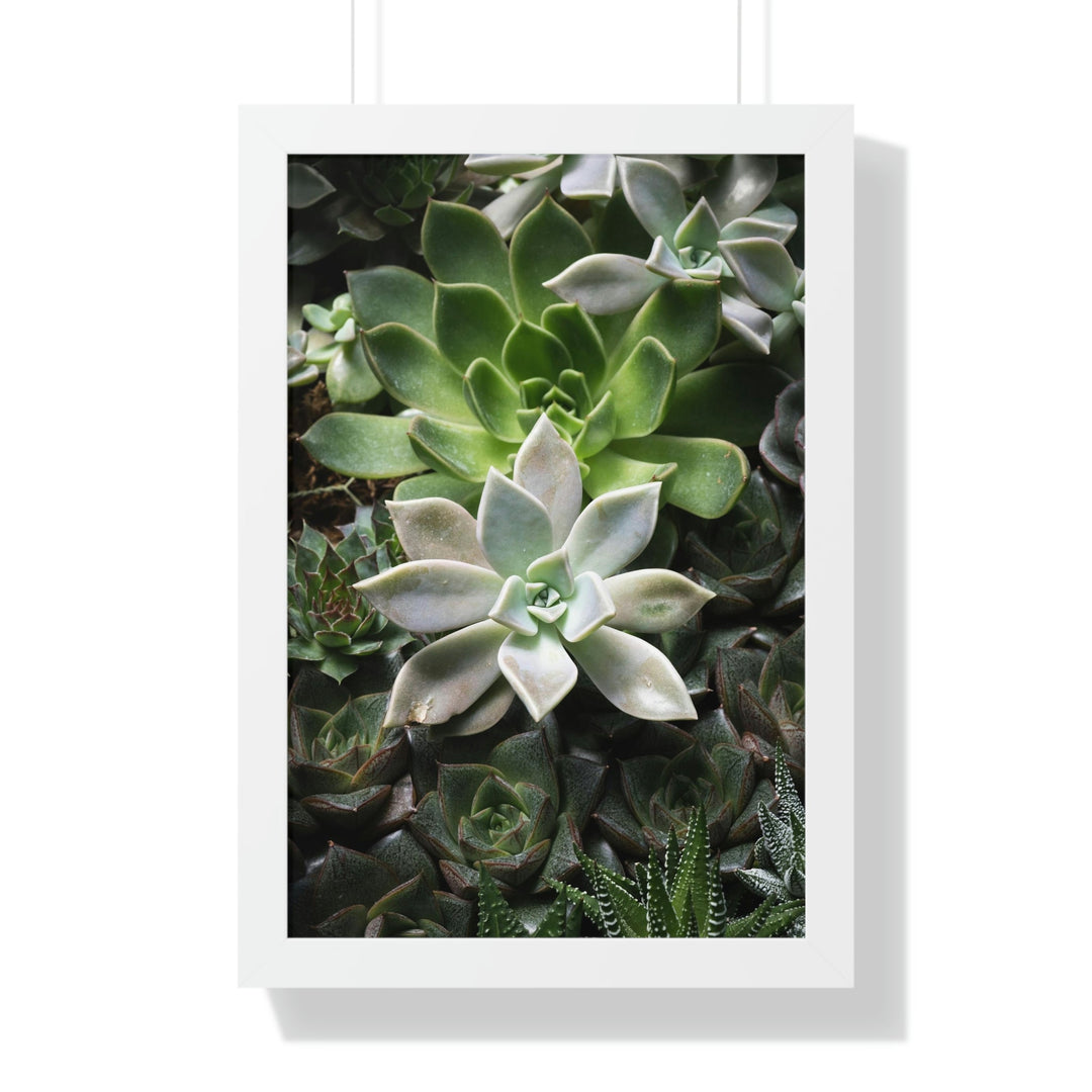 Succulent Array - Framed Print - Visiting This World