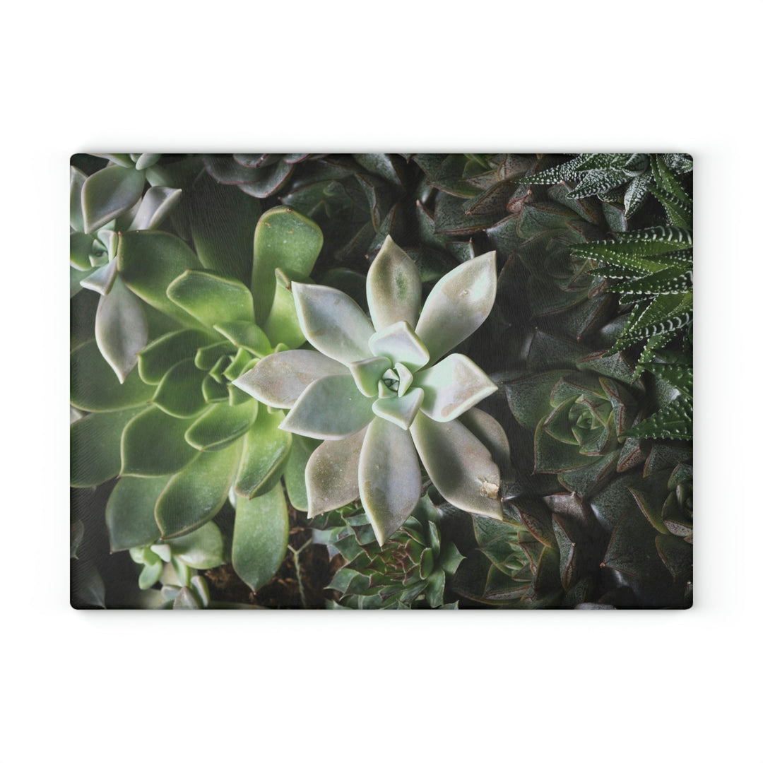 Succulent Array - Glass Cutting Board - Visiting This World