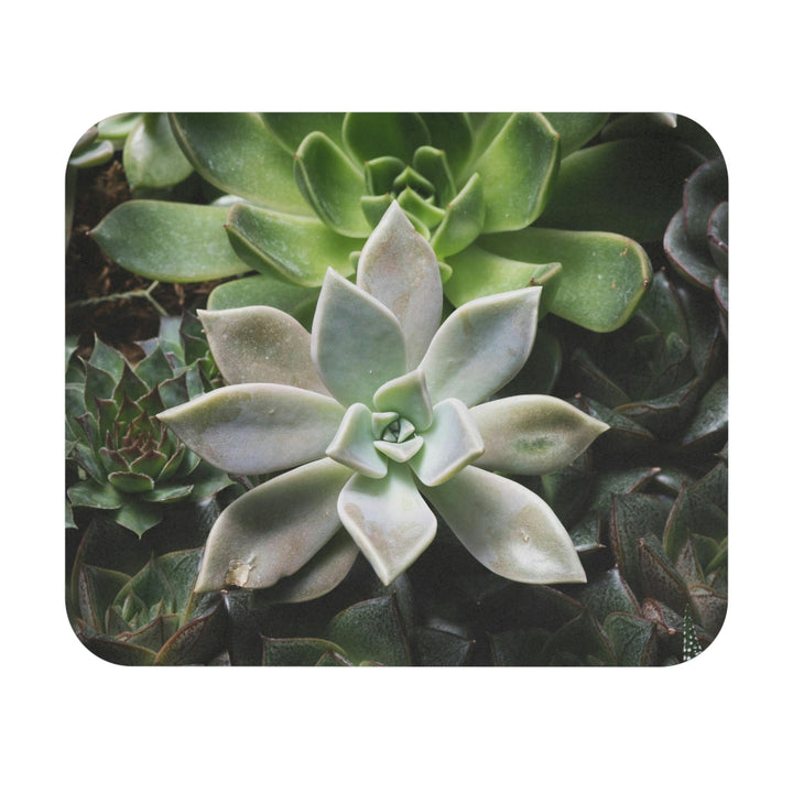 Succulent Array - Mouse Pad (Rectangle) - Visiting This World