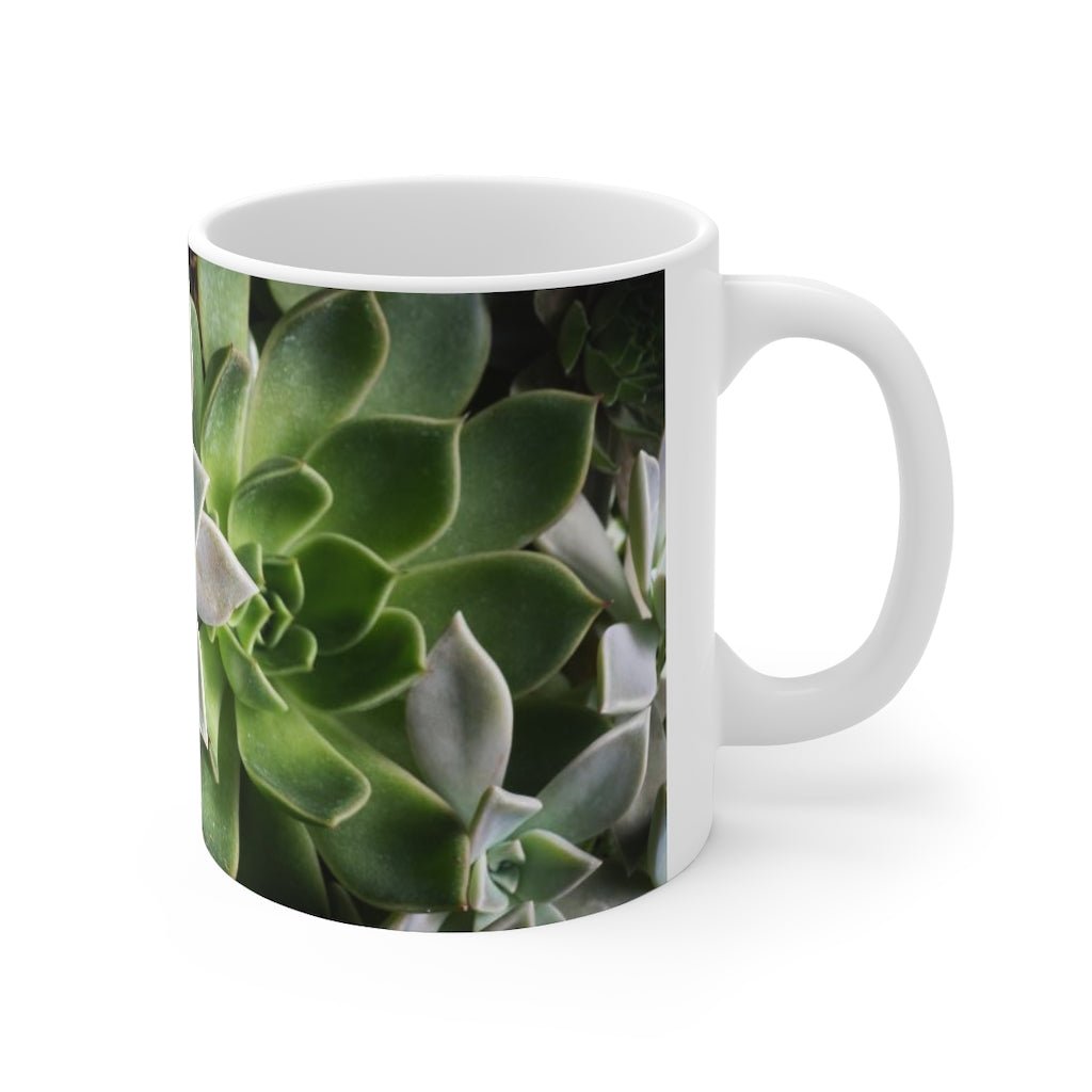 Succulent Array - Mug 11oz - Visiting This World