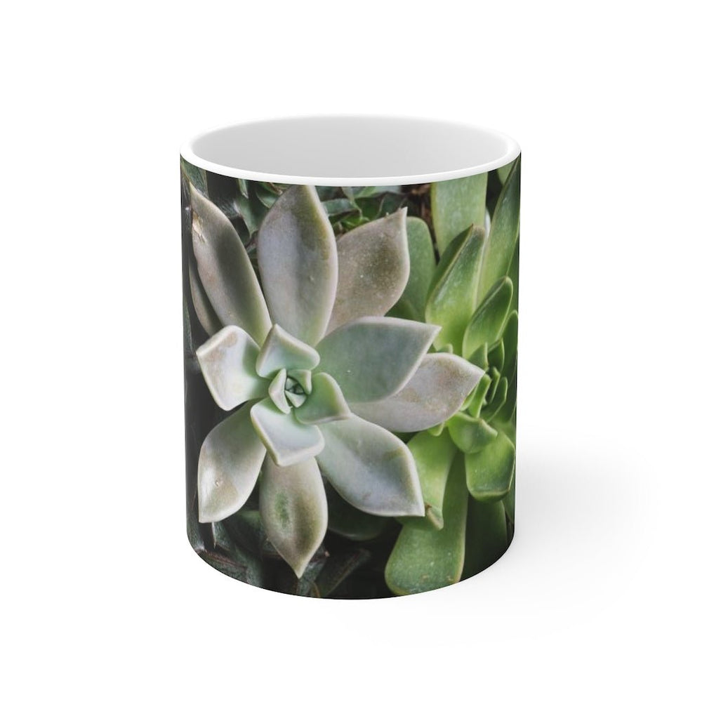 Succulent Array - Mug 11oz - Visiting This World