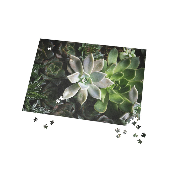 Succulent Array - Nature Puzzle (96, 252, 500, 1000-Piece) - Visiting This World