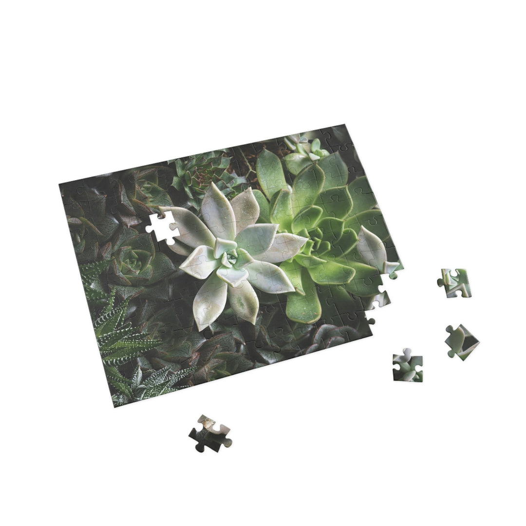 Succulent Array - Nature Puzzle (96, 252, 500, 1000-Piece) - Visiting This World