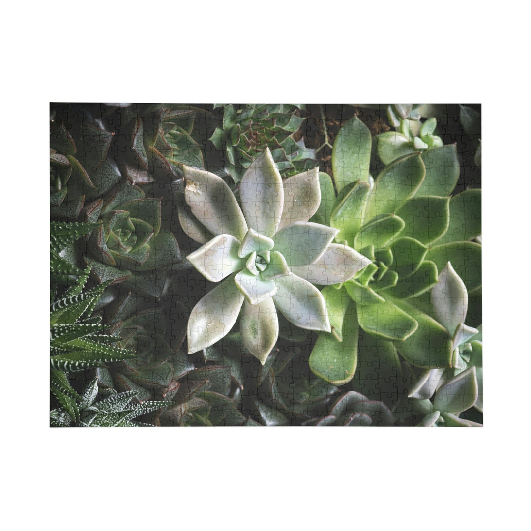 Succulent Array - Nature Puzzle (96, 252, 500, 1000-Piece) - Visiting This World