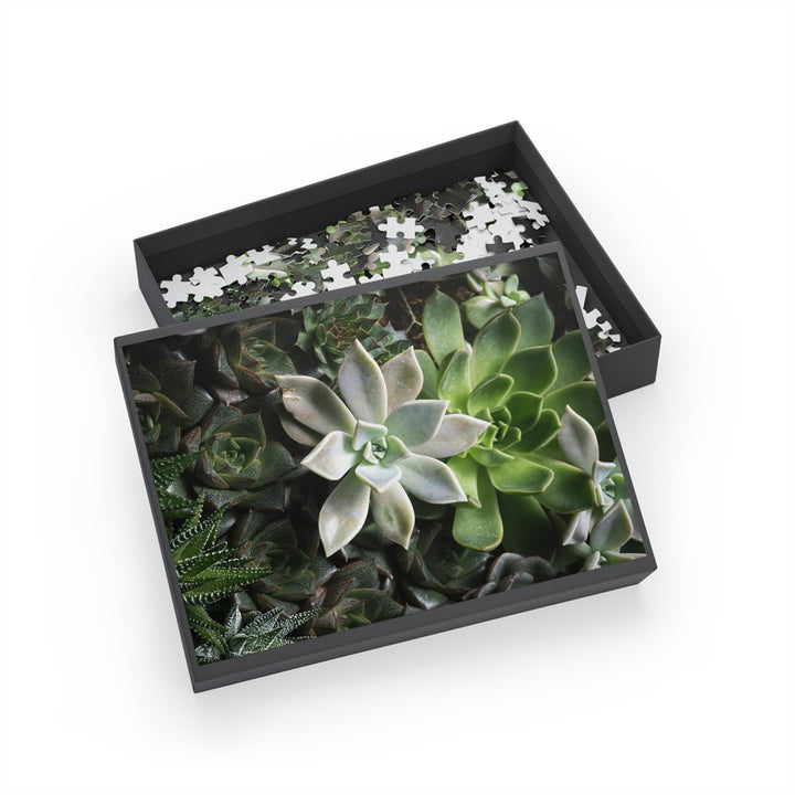 Succulent Array - Nature Puzzle (96, 252, 500, 1000-Piece) - Visiting This World