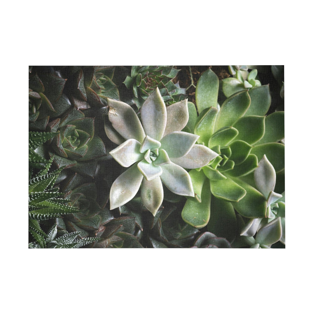 Succulent Array - Nature Puzzle (96, 252, 500, 1000-Piece) - Visiting This World