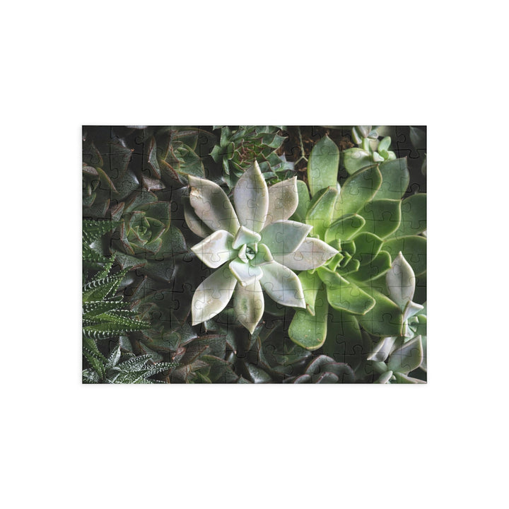 Succulent Array - Nature Puzzle (96, 252, 500, 1000-Piece) - Visiting This World