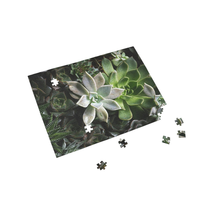 Succulent Array - Nature Puzzle (96, 252, 500, 1000-Piece) - Visiting This World