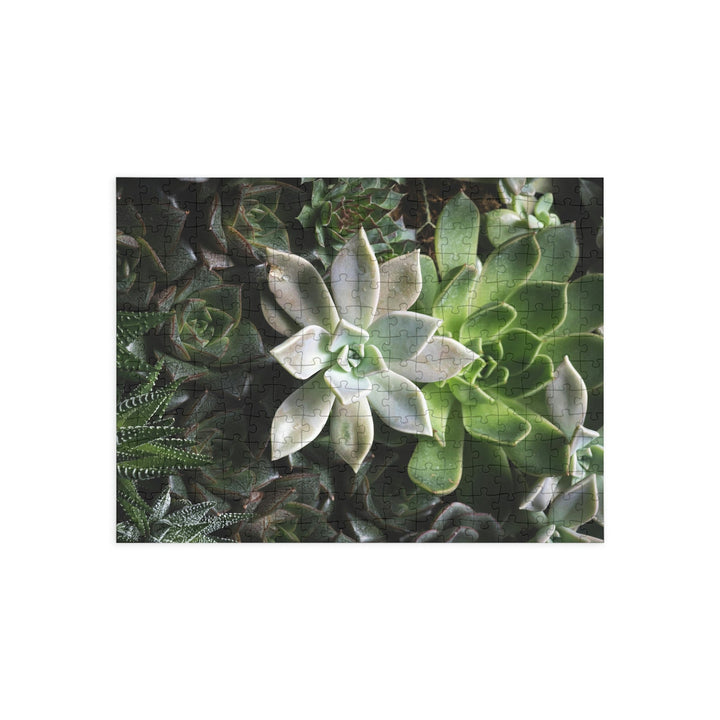 Succulent Array - Nature Puzzle (96, 252, 500, 1000-Piece) - Visiting This World