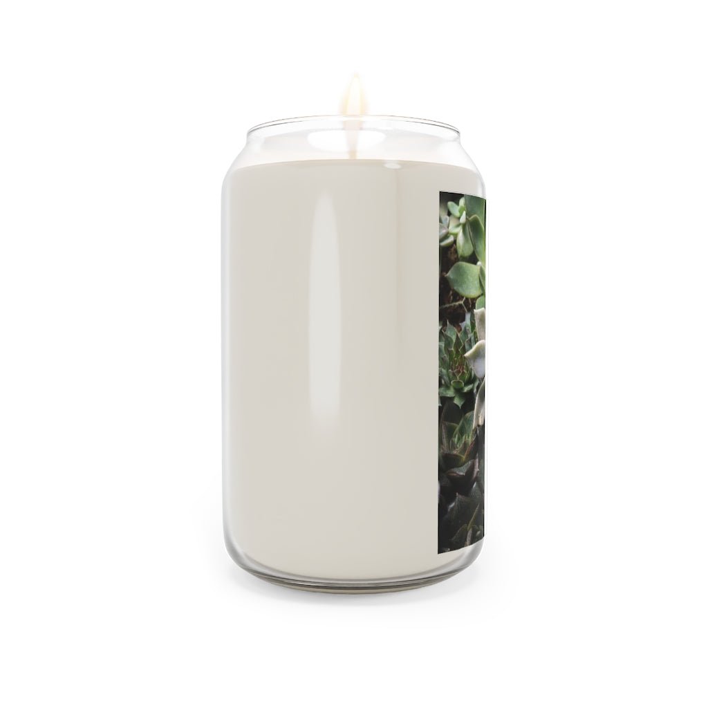 Succulent Array - Scented Candle, 13.75oz - Visiting This World