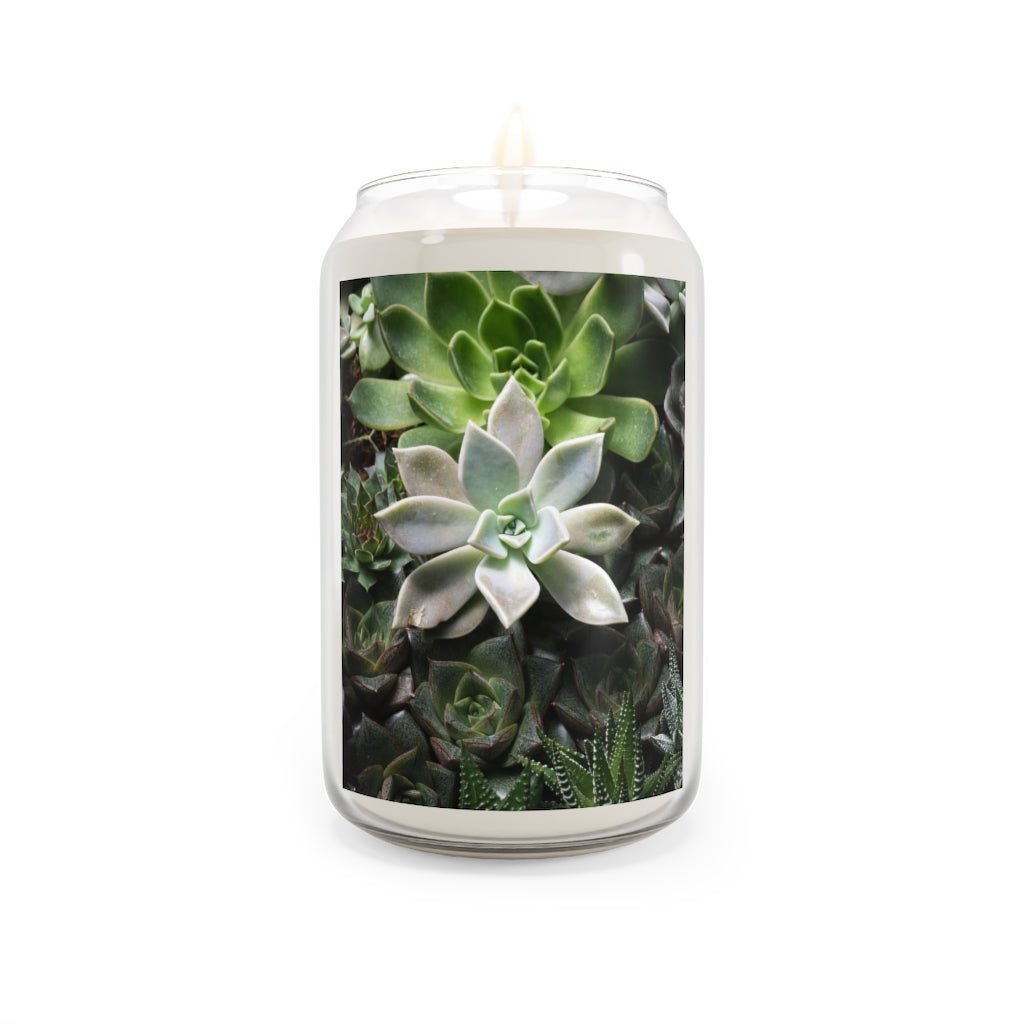 Succulent Array - Scented Candle, 13.75oz - Visiting This World