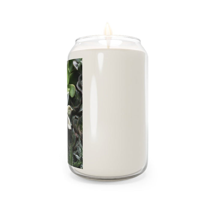 Succulent Array - Scented Candle, 13.75oz - Visiting This World