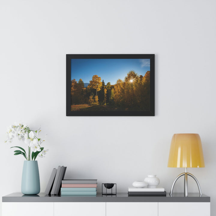 Sun Through the Aspens - Framed Print - Visiting This World