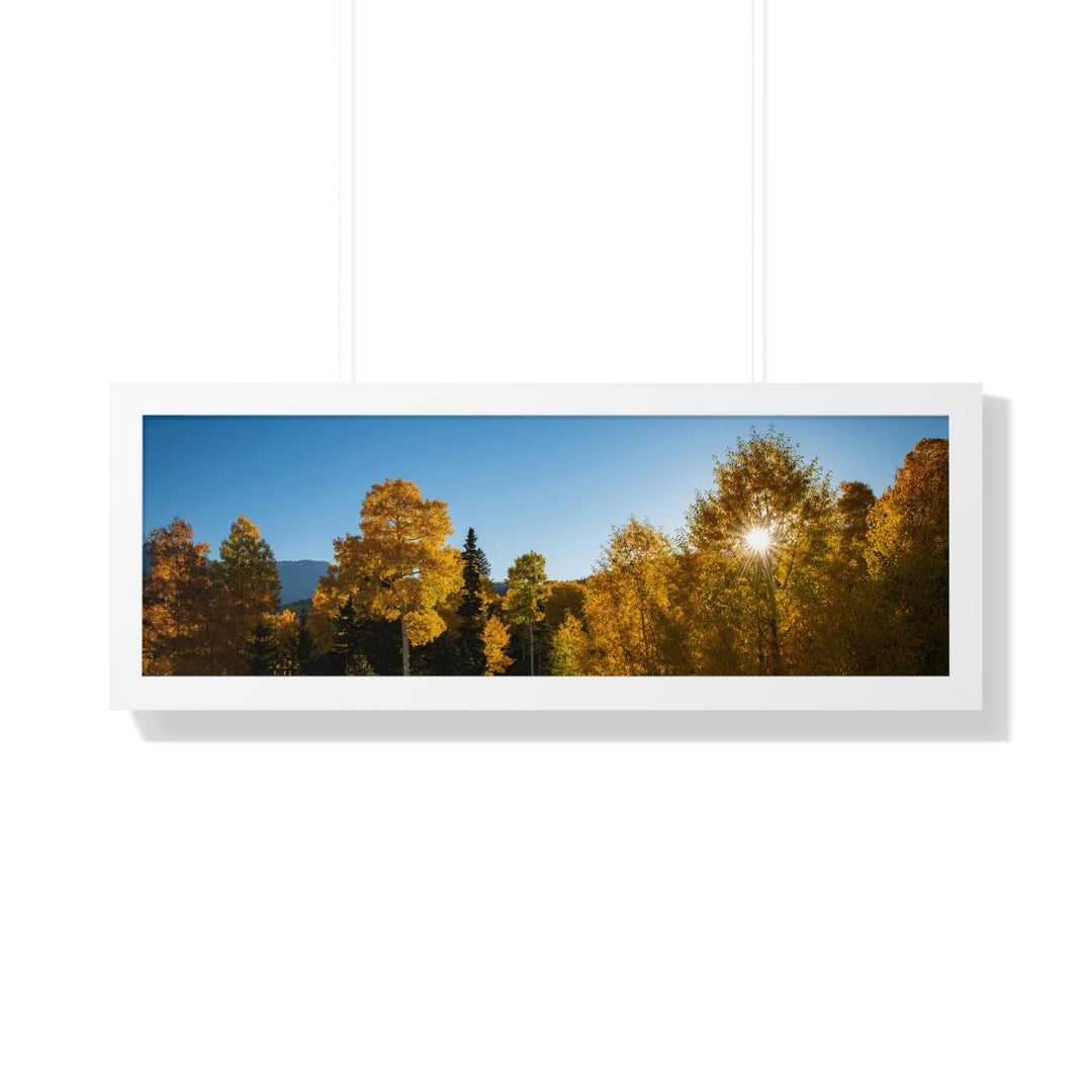 Sun Through the Aspens - Framed Print - Visiting This World