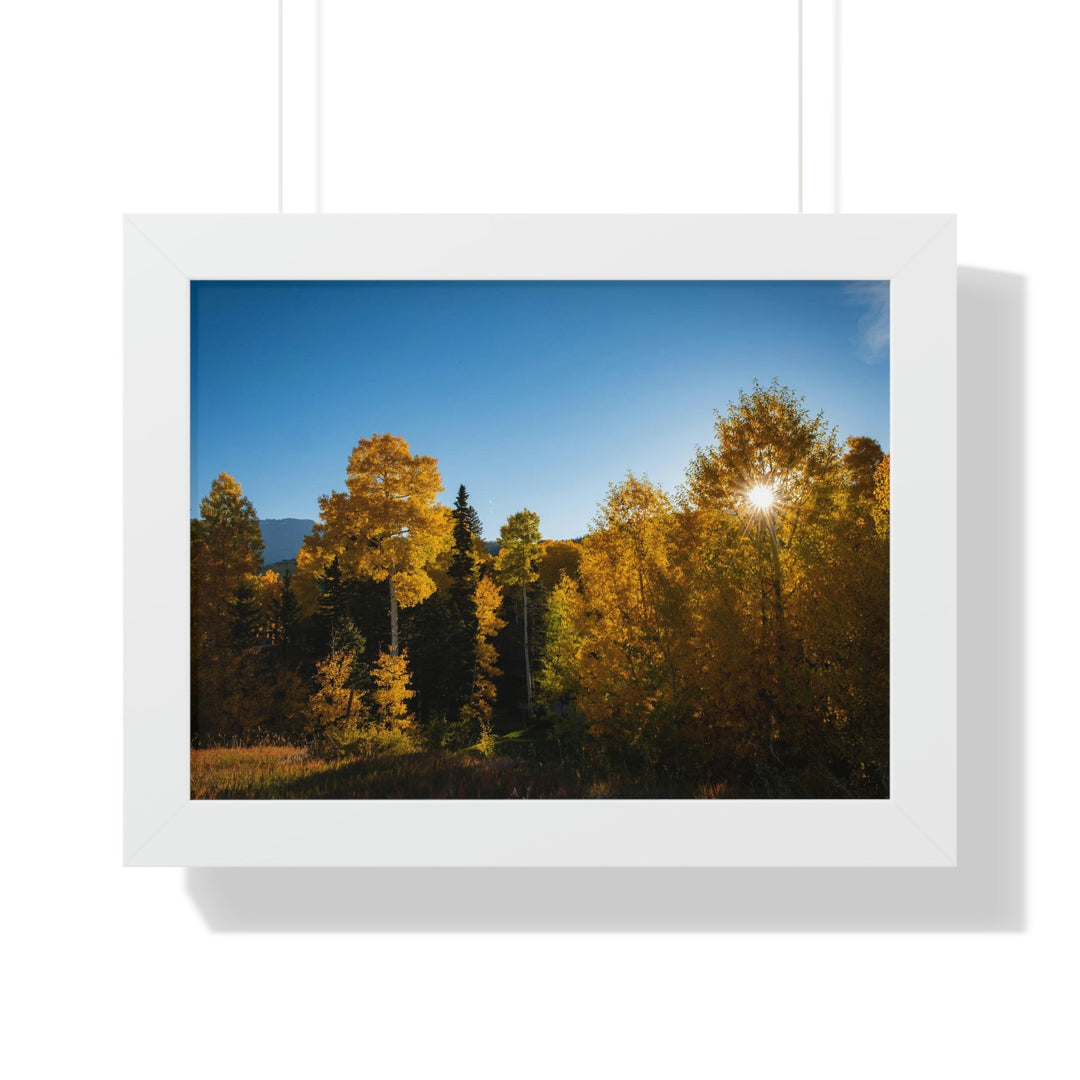 Sun Through the Aspens - Framed Print - Visiting This World