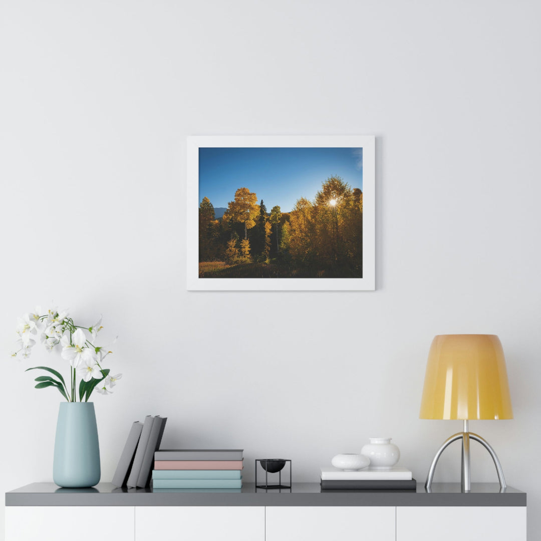 Sun Through the Aspens - Framed Print - Visiting This World