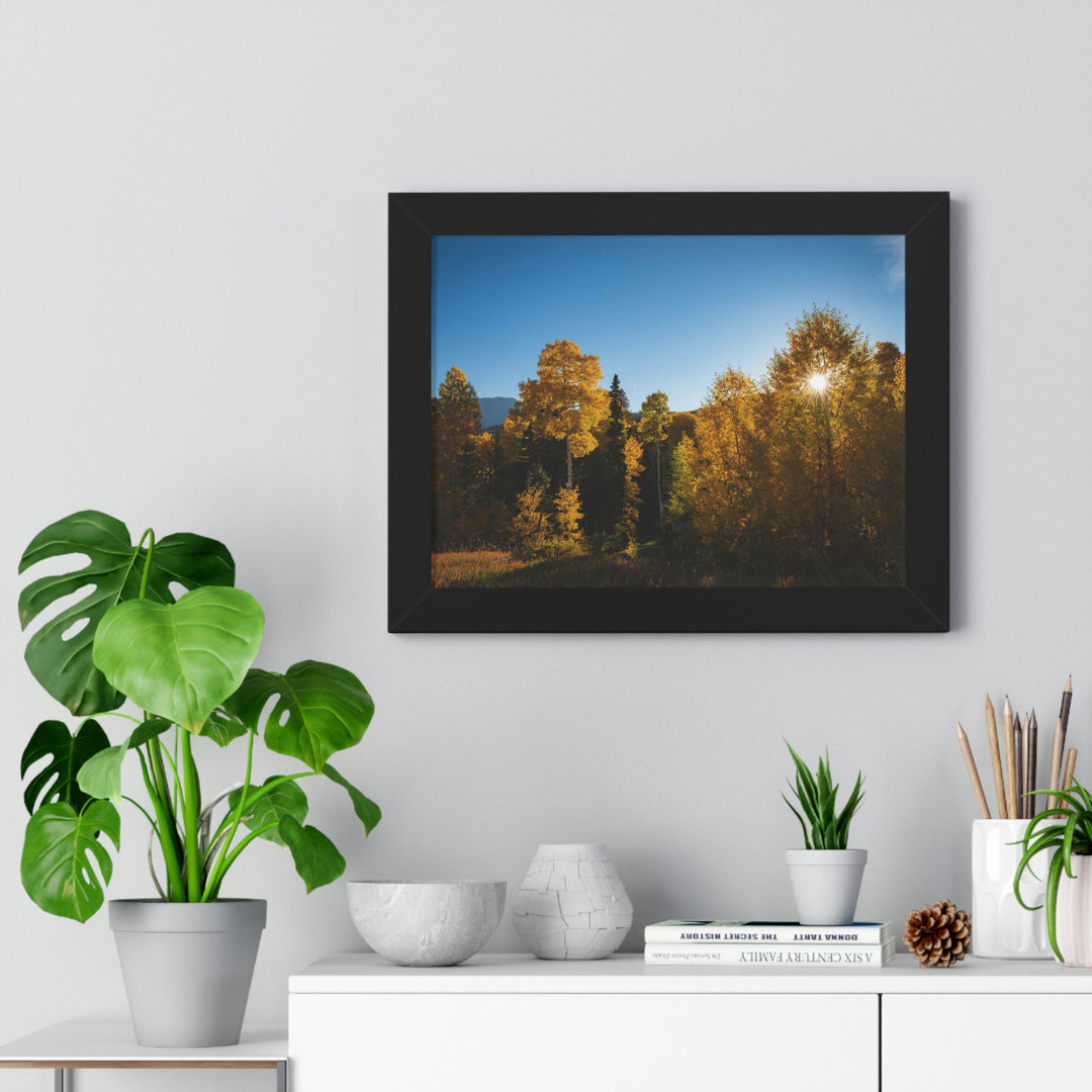 Sun Through the Aspens - Framed Print - Visiting This World