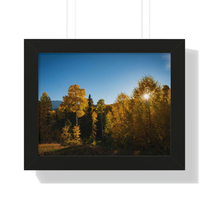 Sun Through the Aspens - Framed Print - Visiting This World