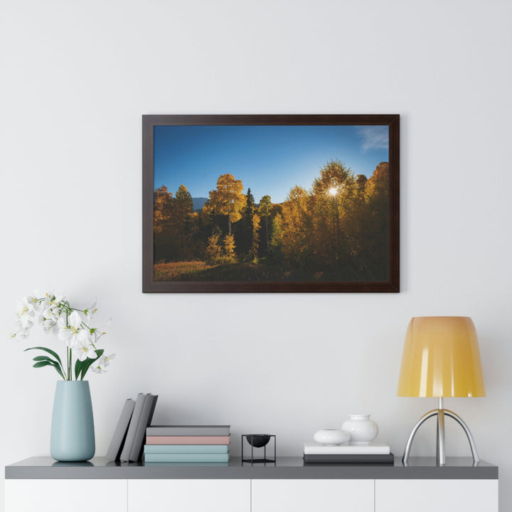 Sun Through the Aspens - Framed Print - Visiting This World