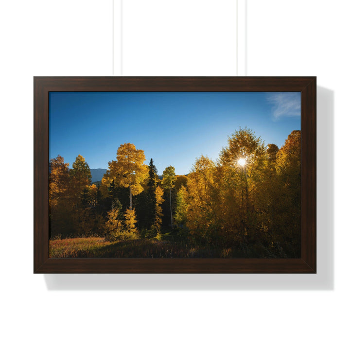 Sun Through the Aspens - Framed Print - Visiting This World