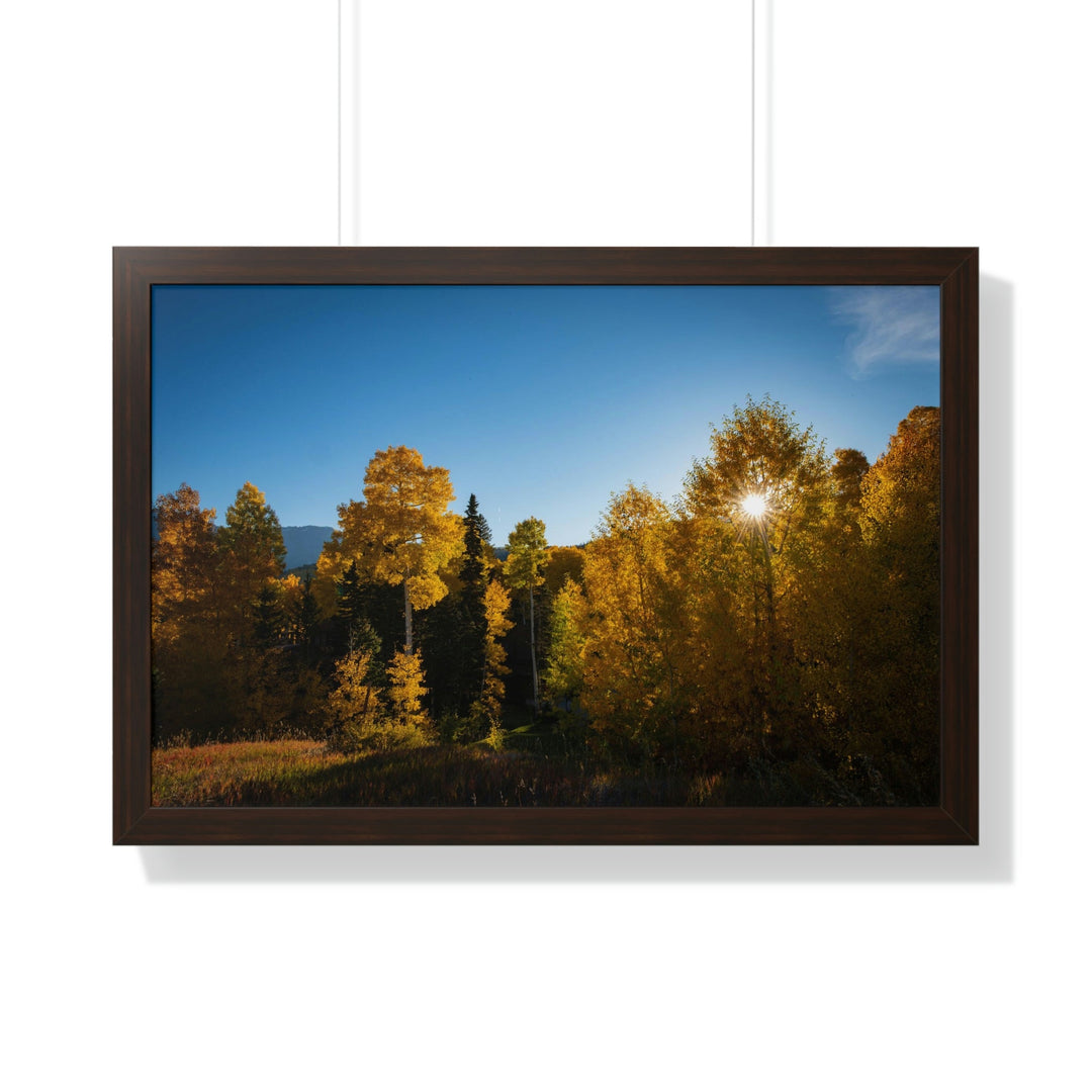 Sun Through the Aspens - Framed Print - Visiting This World