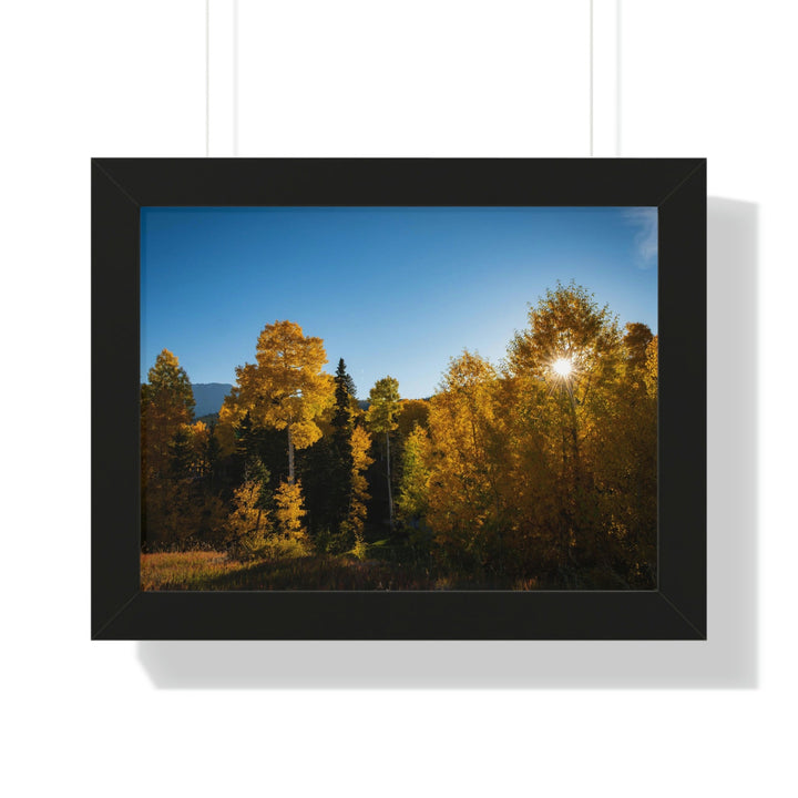 Sun Through the Aspens - Framed Print - Visiting This World