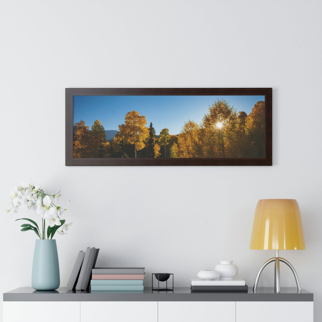 Sun Through the Aspens - Framed Print - Visiting This World