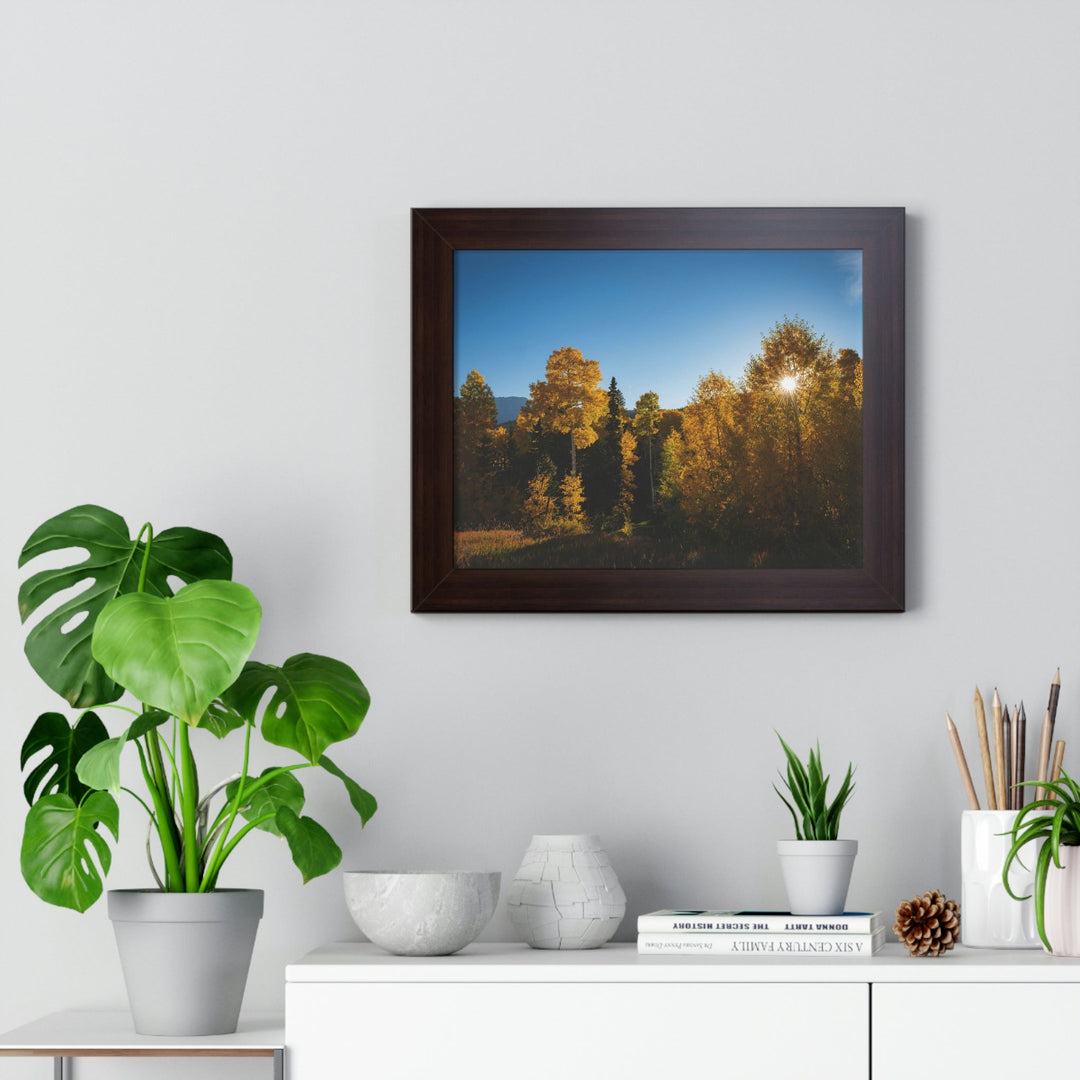 Sun Through the Aspens - Framed Print - Visiting This World