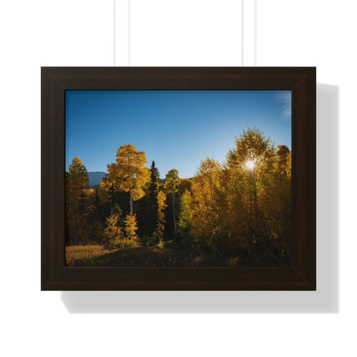 Sun Through the Aspens - Framed Print - Visiting This World