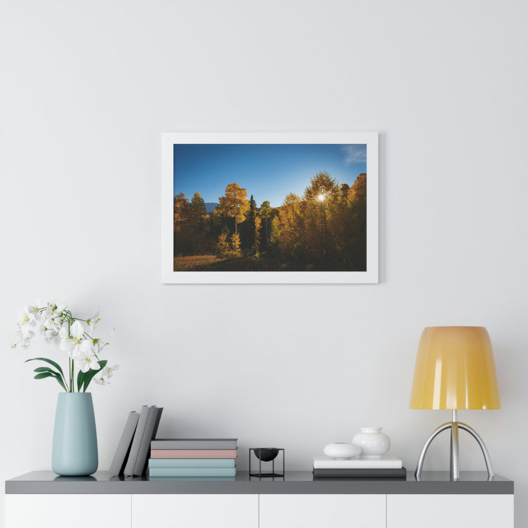 Sun Through the Aspens - Framed Print - Visiting This World