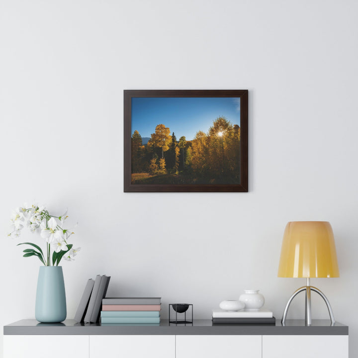 Sun Through the Aspens - Framed Print - Visiting This World